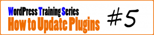 Read more about the article How to Update Plugins in WordPress – Video