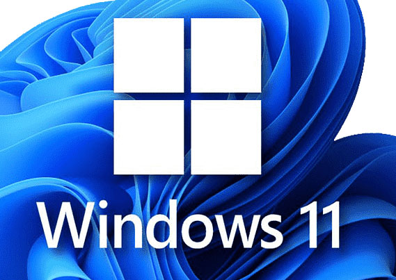 Windows 11